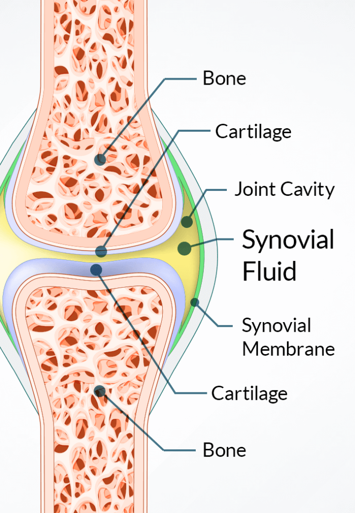 Joint Genesis Optimal Joint Health